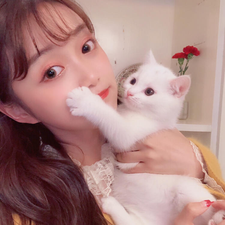 山崎润（饰 三井） - 猪蜜蜜电视剧大全在线观看11 - 线上观影